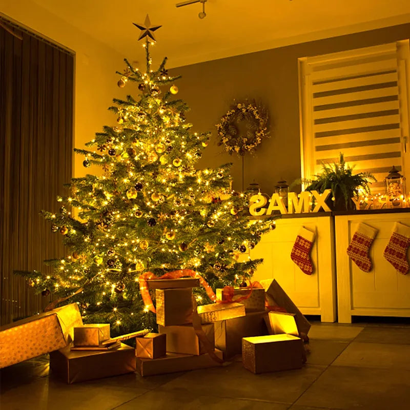 Pisca-Pisca 2000LED cabo verde